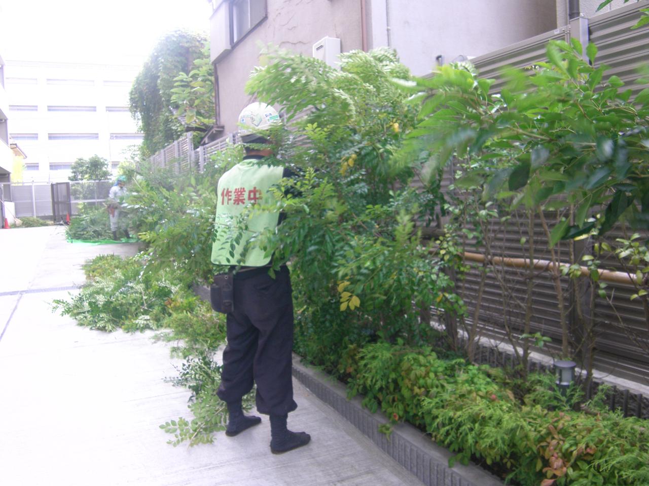 スタジオ縁 造園 緑化 整備