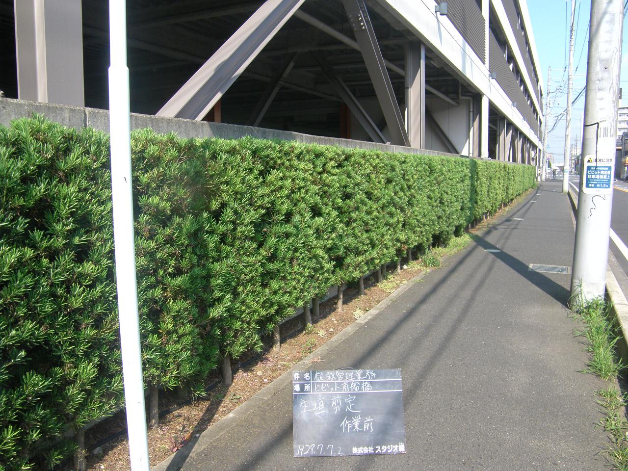 スタジオ縁 造園 緑化 整備