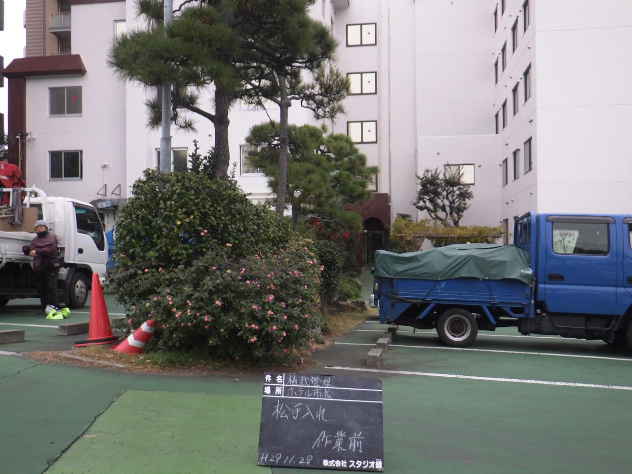 スタジオ縁 造園 緑化 整備