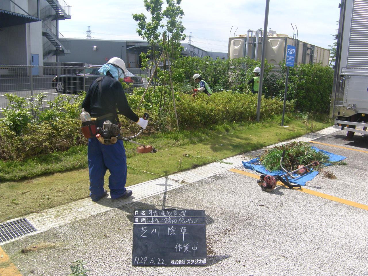 スタジオ縁 造園 緑化 整備