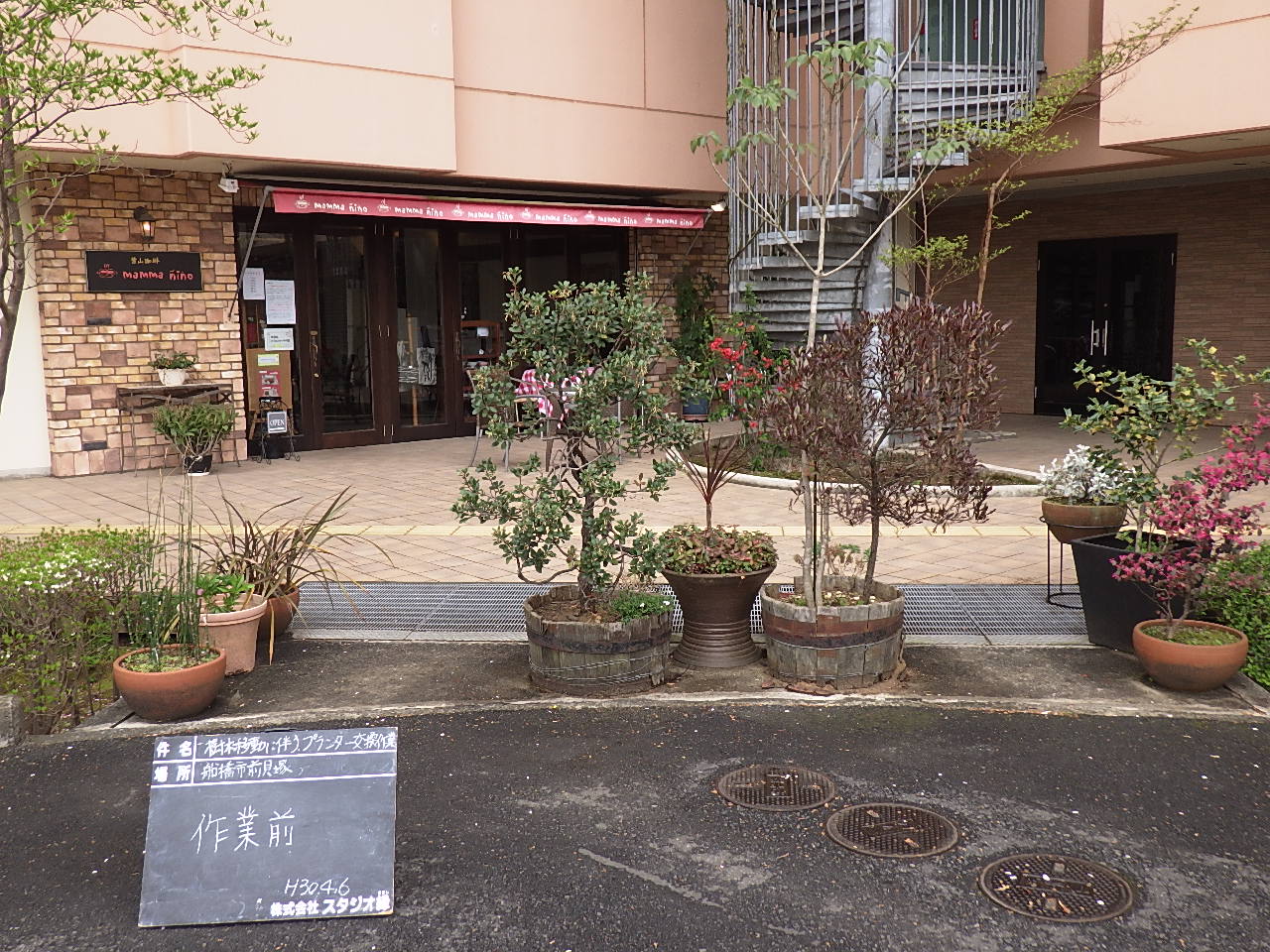 スタジオ縁 造園 緑化 整備