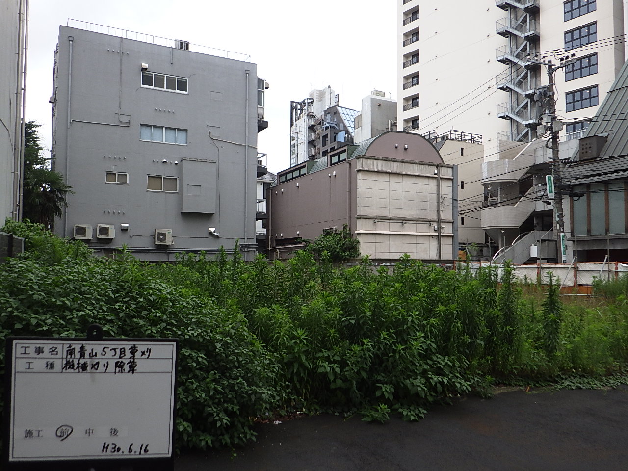 スタジオ縁 造園 緑化 整備