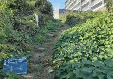 スタジオ縁 造園 緑化 整備