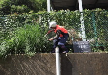 スタジオ縁 造園 緑化 整備