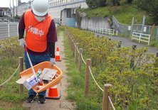 スタジオ縁 造園 緑化 整備