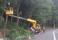 スタジオ縁 造園 緑化 整備
