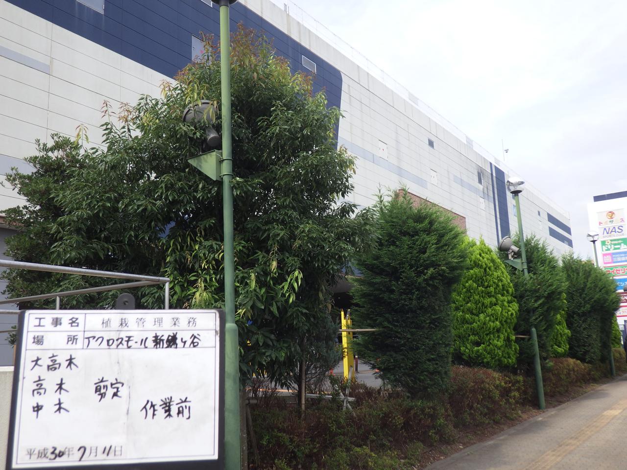 スタジオ縁 造園 緑化 整備
