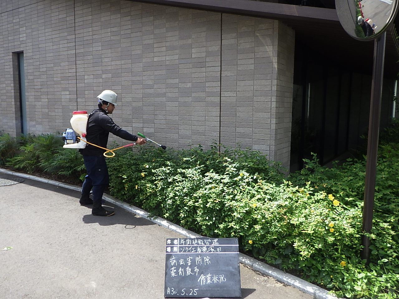 スタジオ縁 造園 緑化 整備