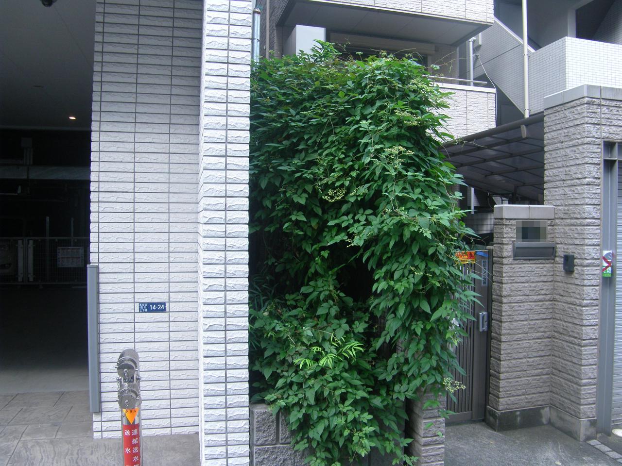 スタジオ縁 造園 緑化 整備