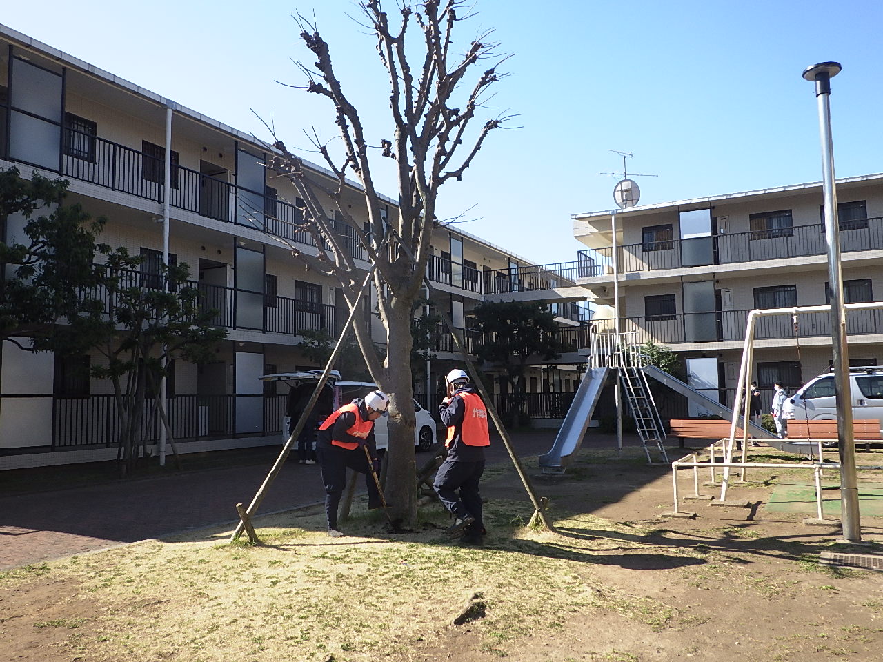 スタジオ縁 造園 緑化 整備