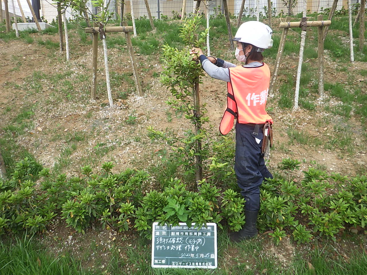 スタジオ縁 造園 緑化 整備