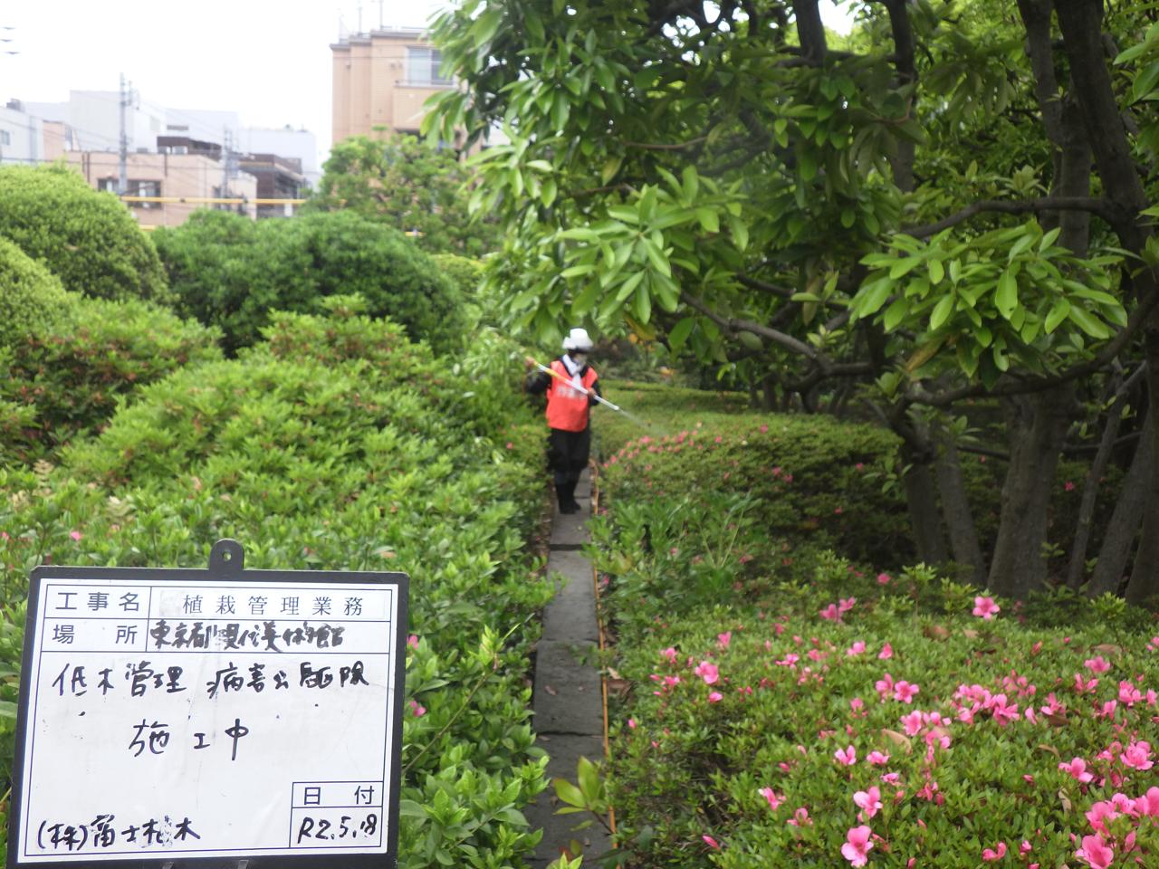 スタジオ縁 造園 緑化 整備