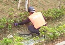 スタジオ縁 造園 緑化 整備