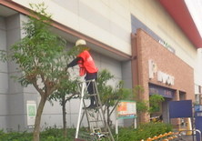 スタジオ縁 造園 緑化 整備